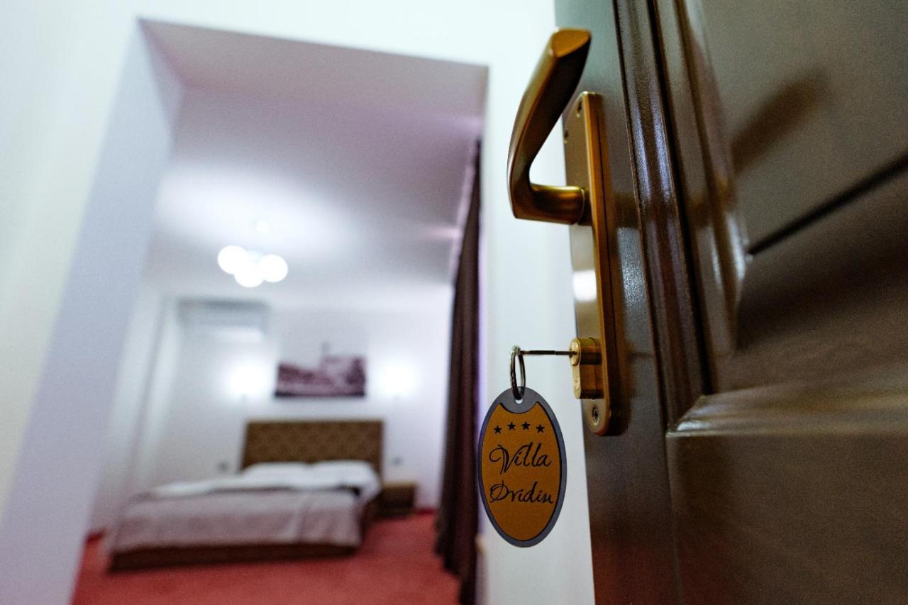 Hotel Villa Ovidiu دروبيتا تورنو سيفيرين المظهر الخارجي الصورة